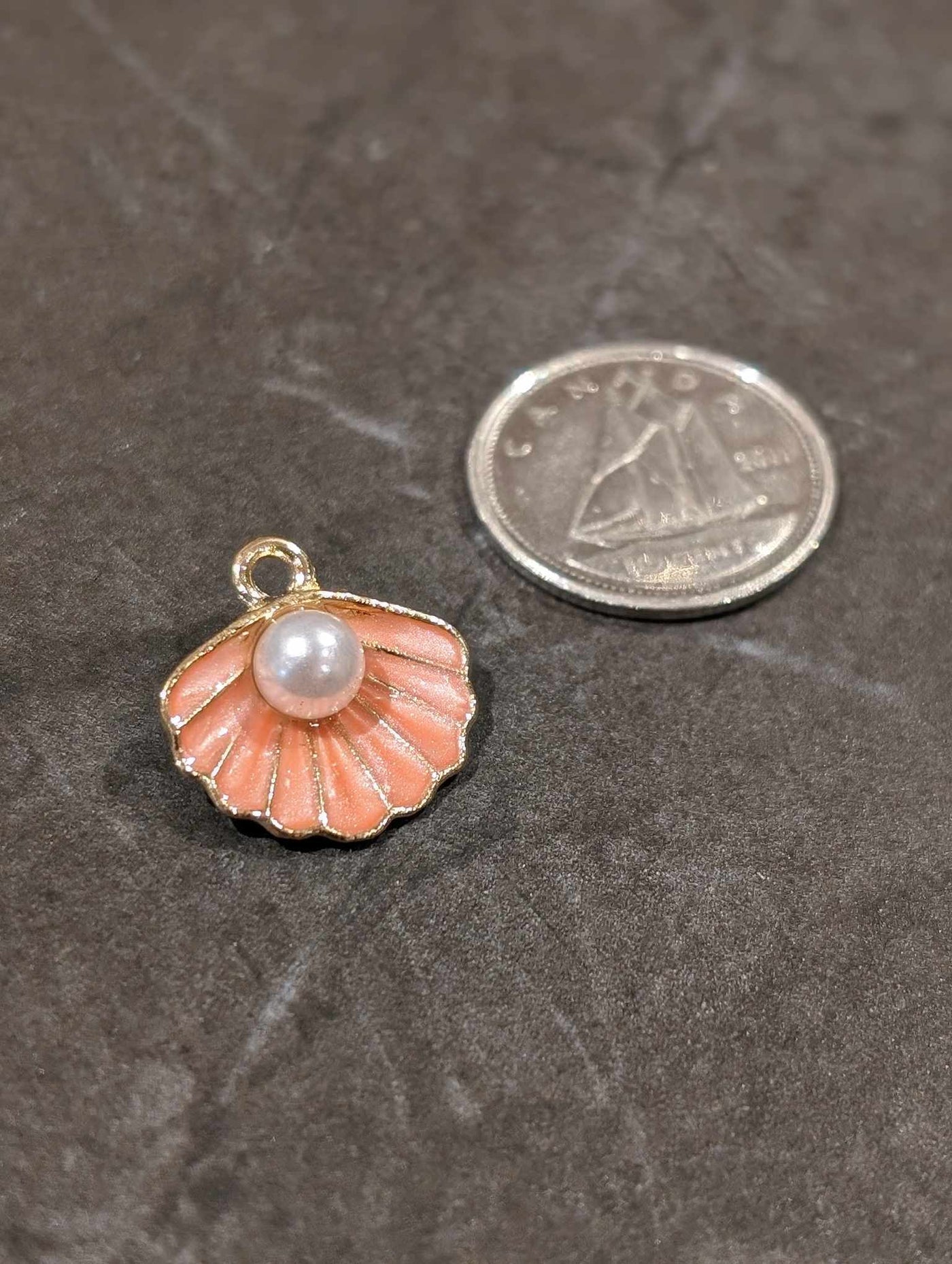 Breloque de petit coquillage blanc corail et sa perle blanche