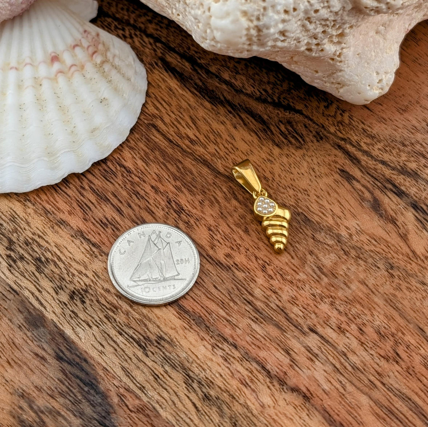 Coquillage spirale & mini perle