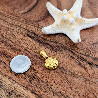 Coquillage 3d picoté