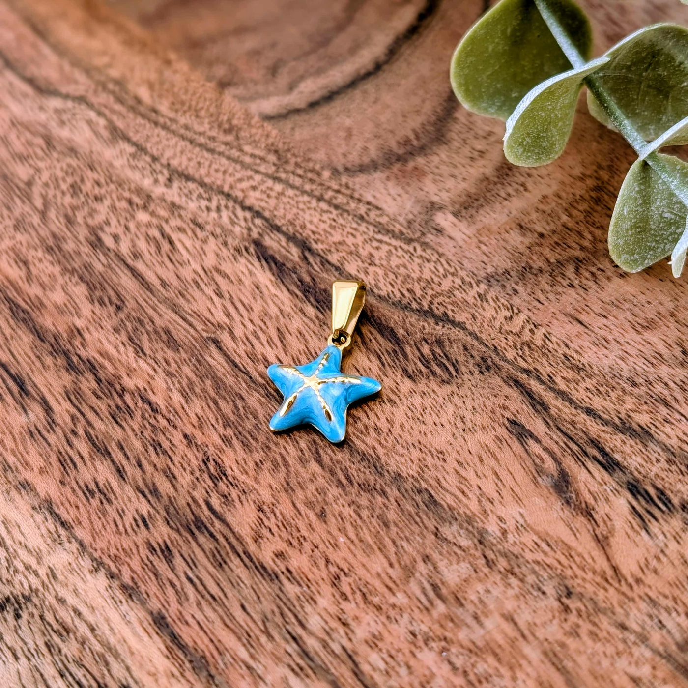 Étoile de mer coloré bleu