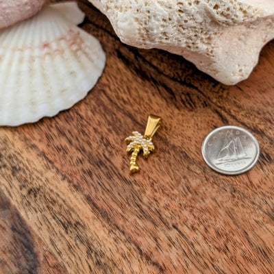 Palmier & mini perle