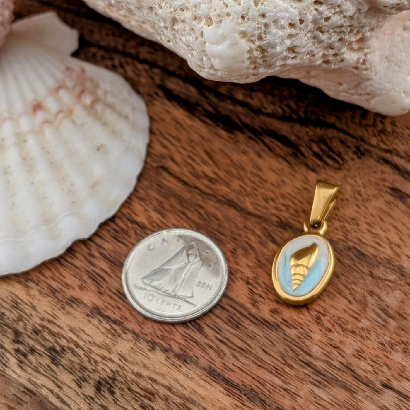 Breloque coquillage spirale bleu pastel