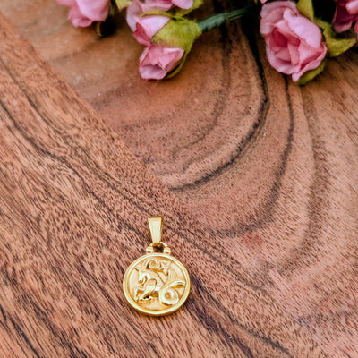 Breloque de signe astrologique et constellation double face