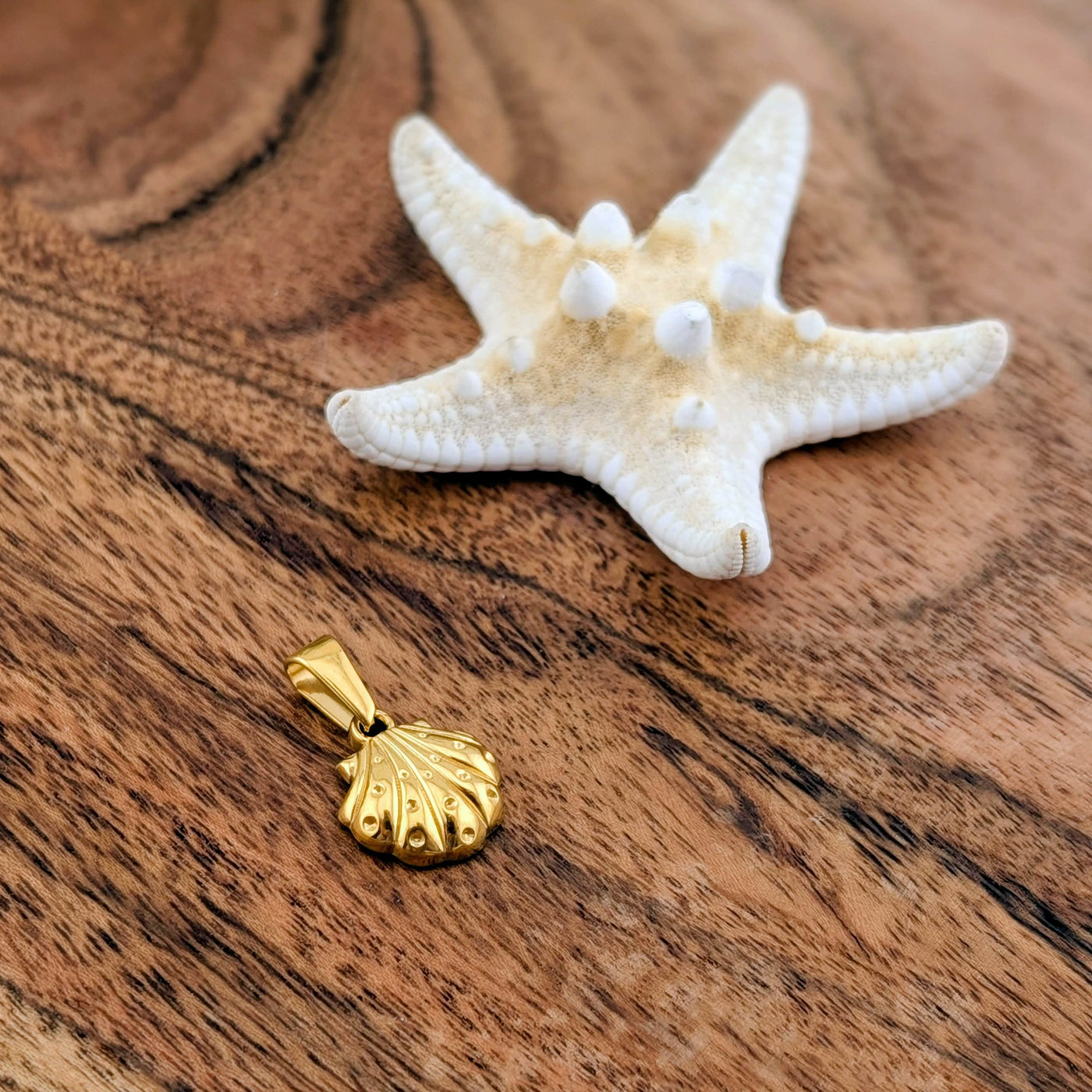 Coquillage 3d picoté