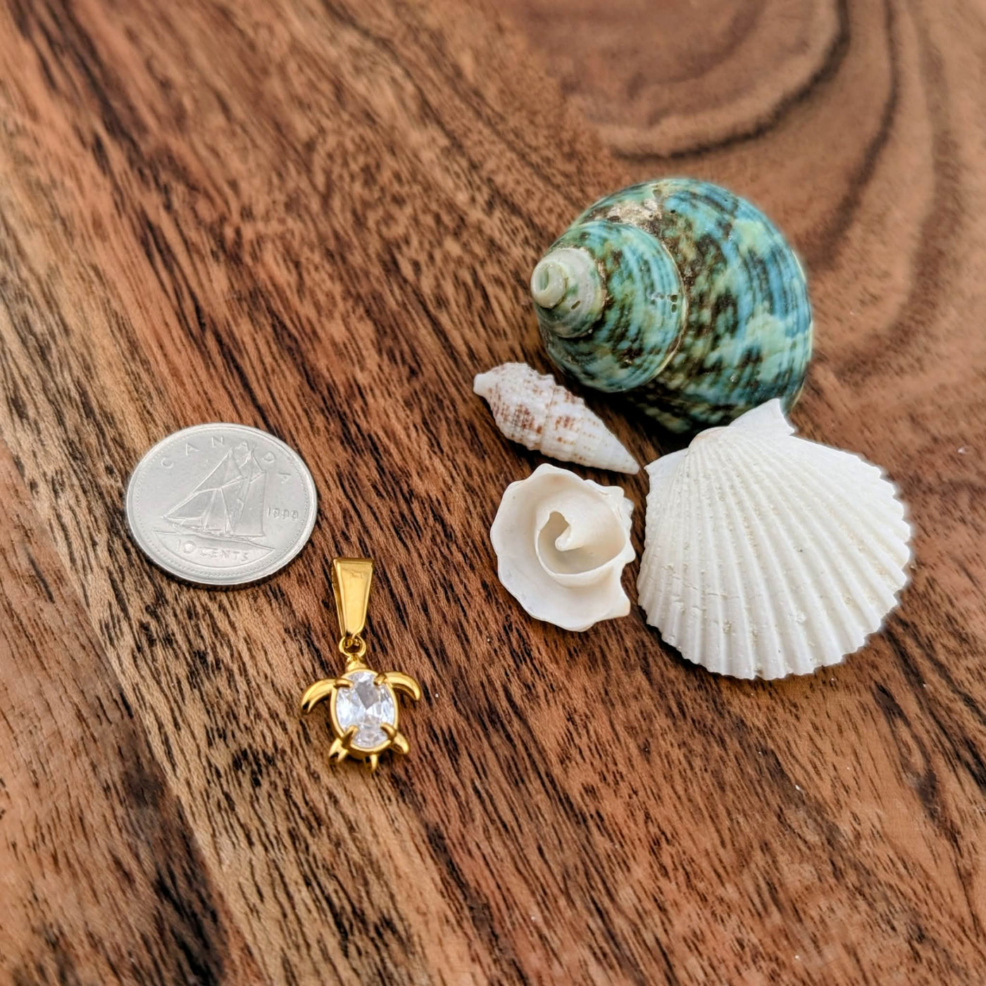 Breloque tortue précieuse