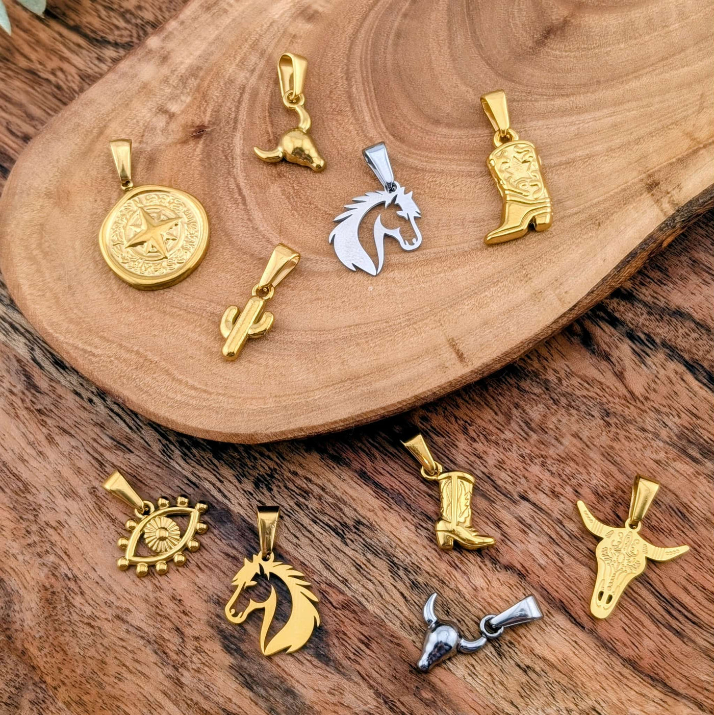 Mini cactus du désert