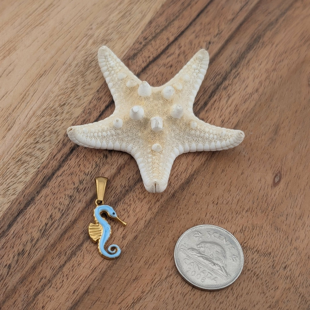 Cheval de mer bleu