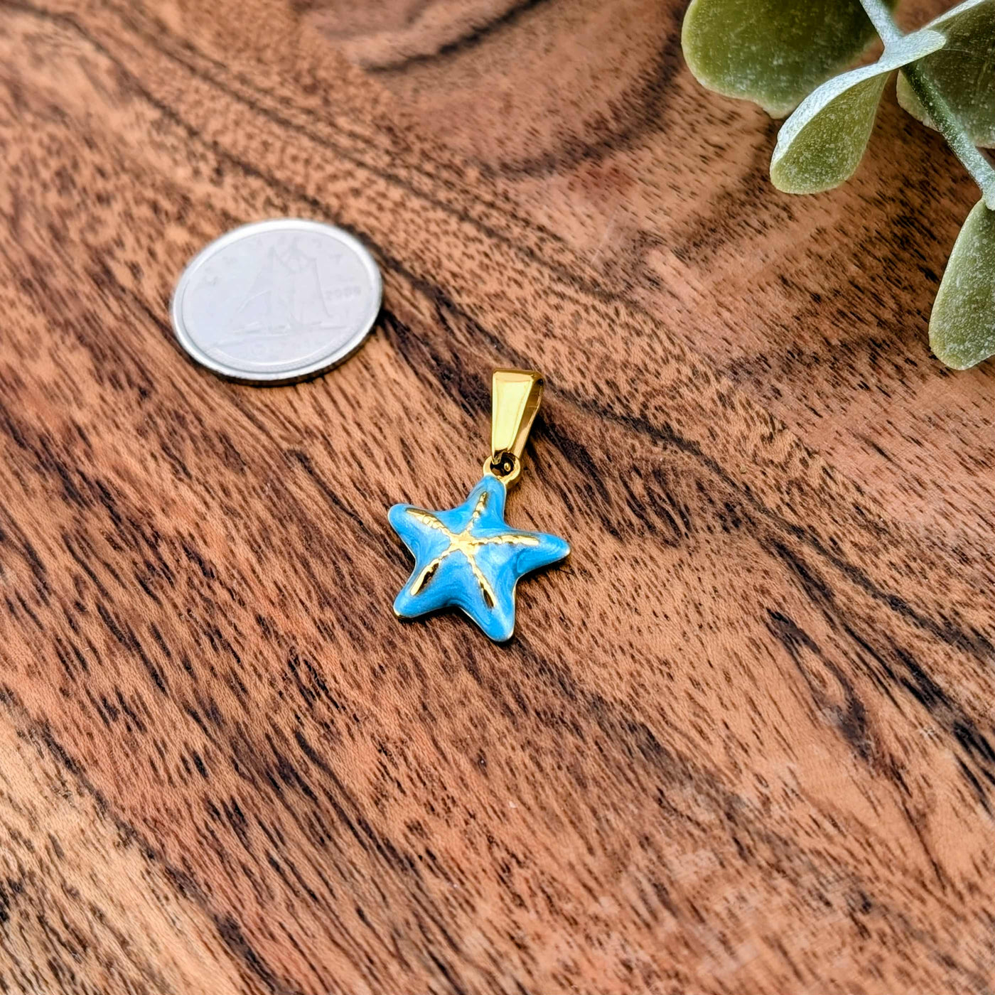 Étoile de mer coloré bleu