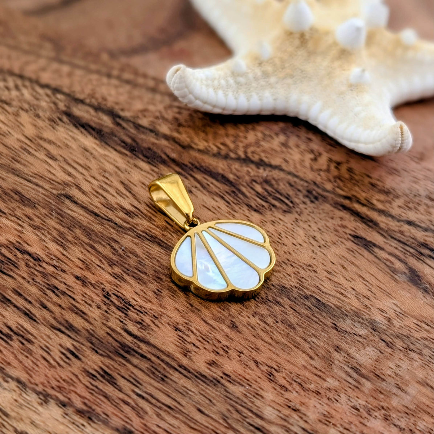 Mon coquillage nacré préféré