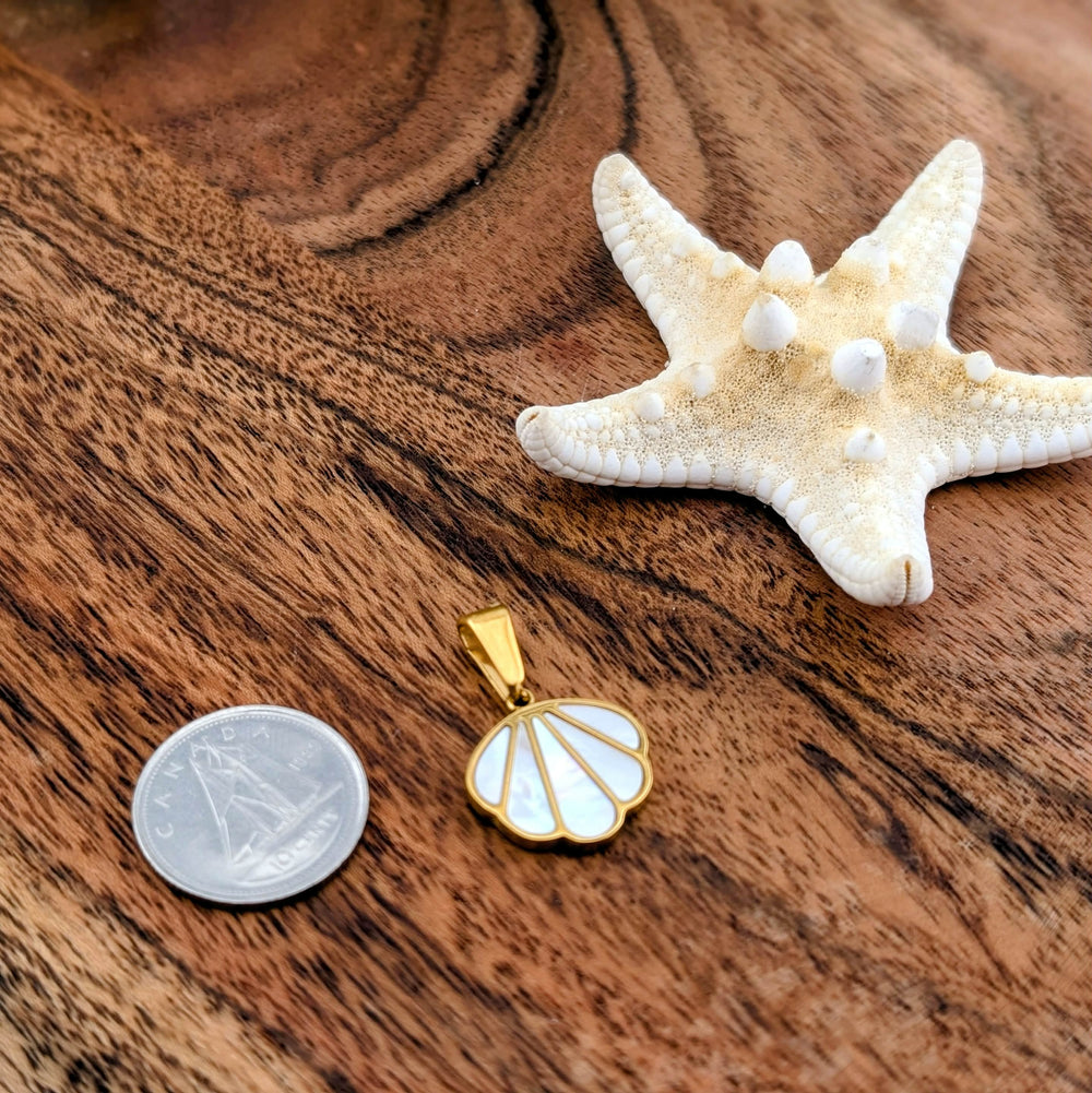 Mon coquillage nacré préféré
