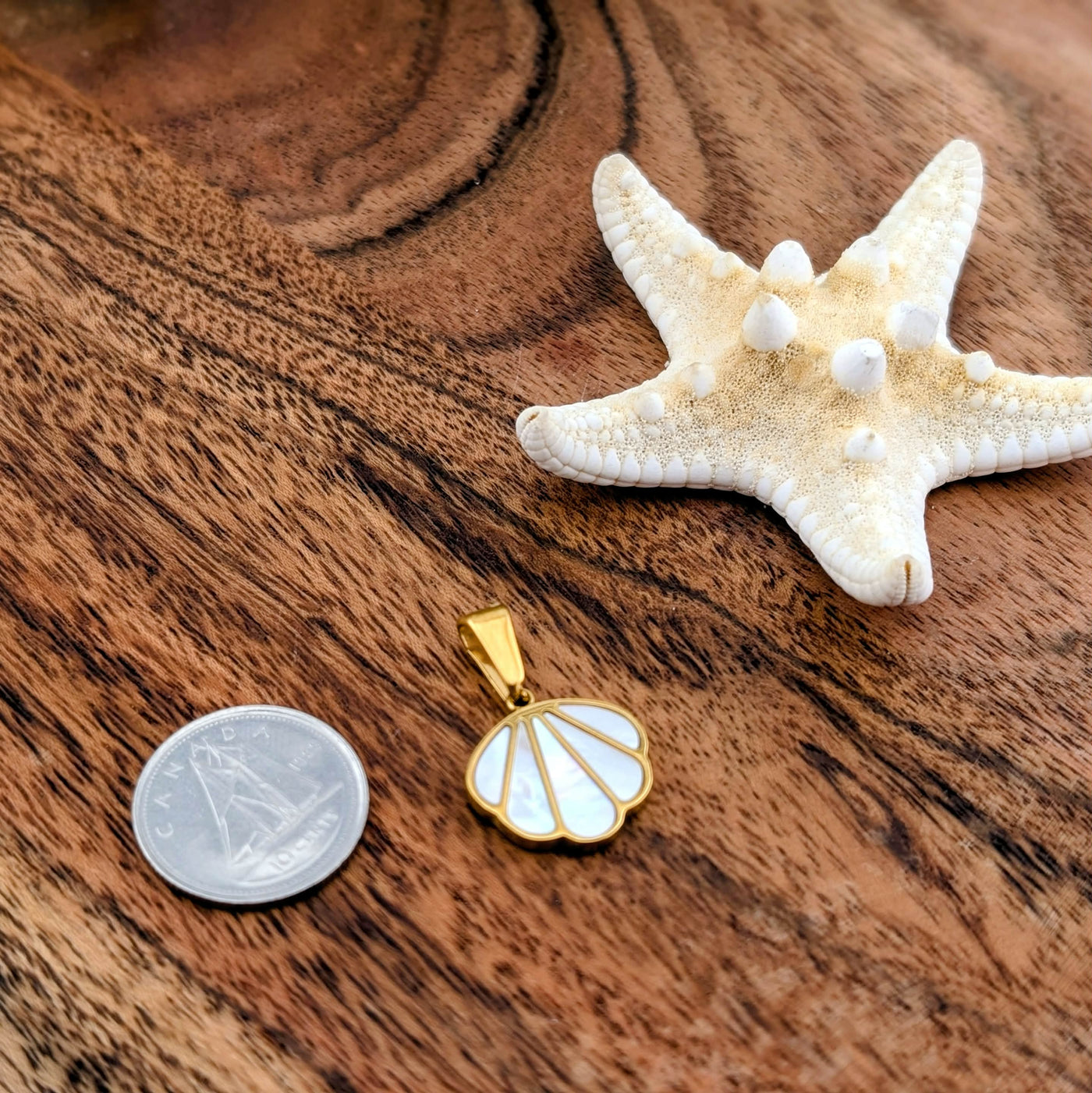 Mon coquillage nacré préféré