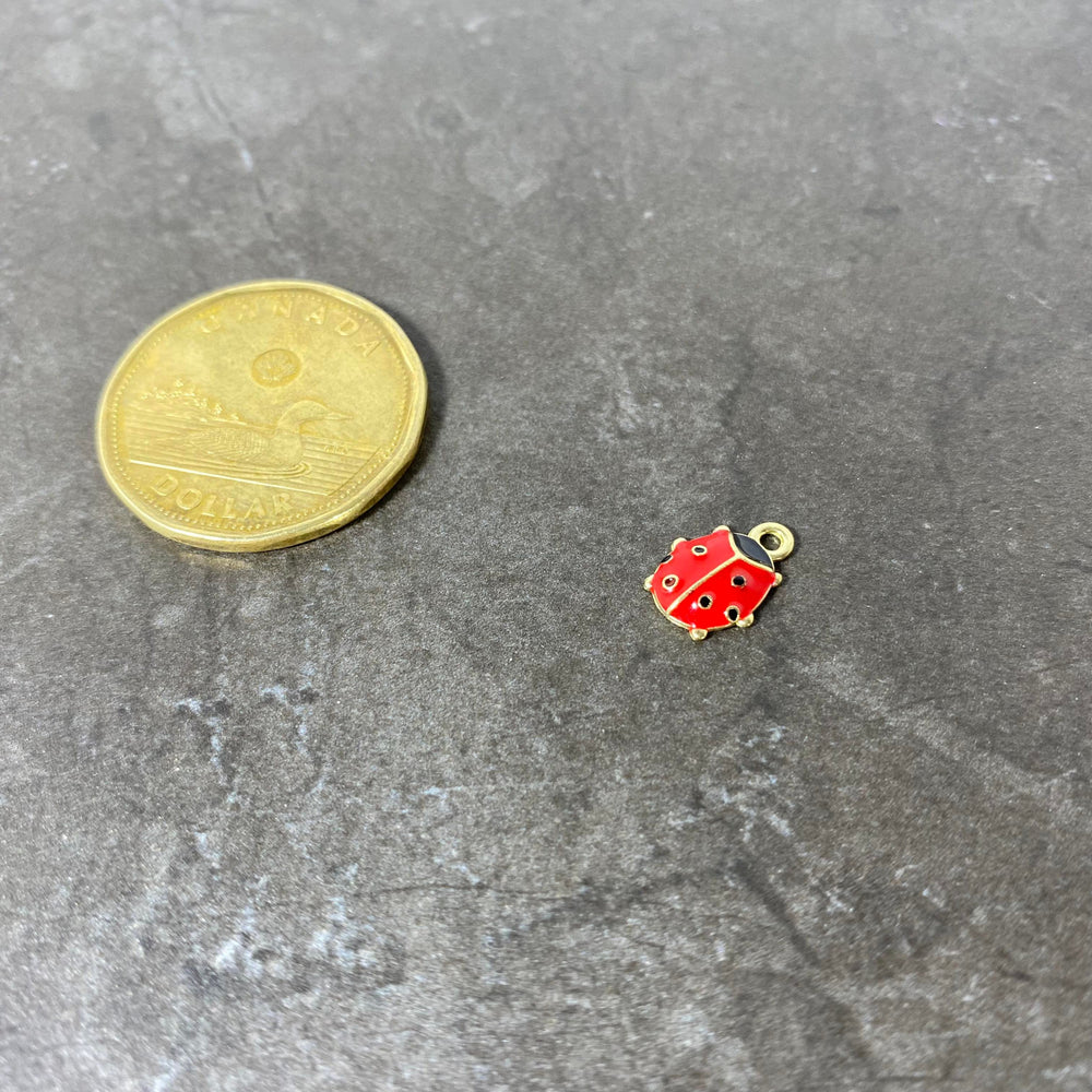Breloque de coccinelle