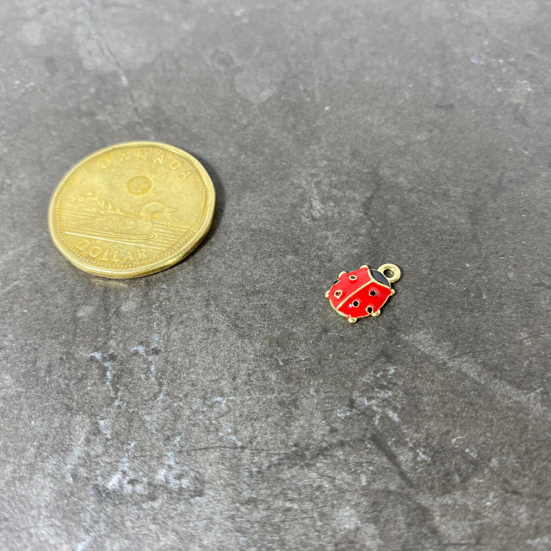 Breloque de coccinelle
