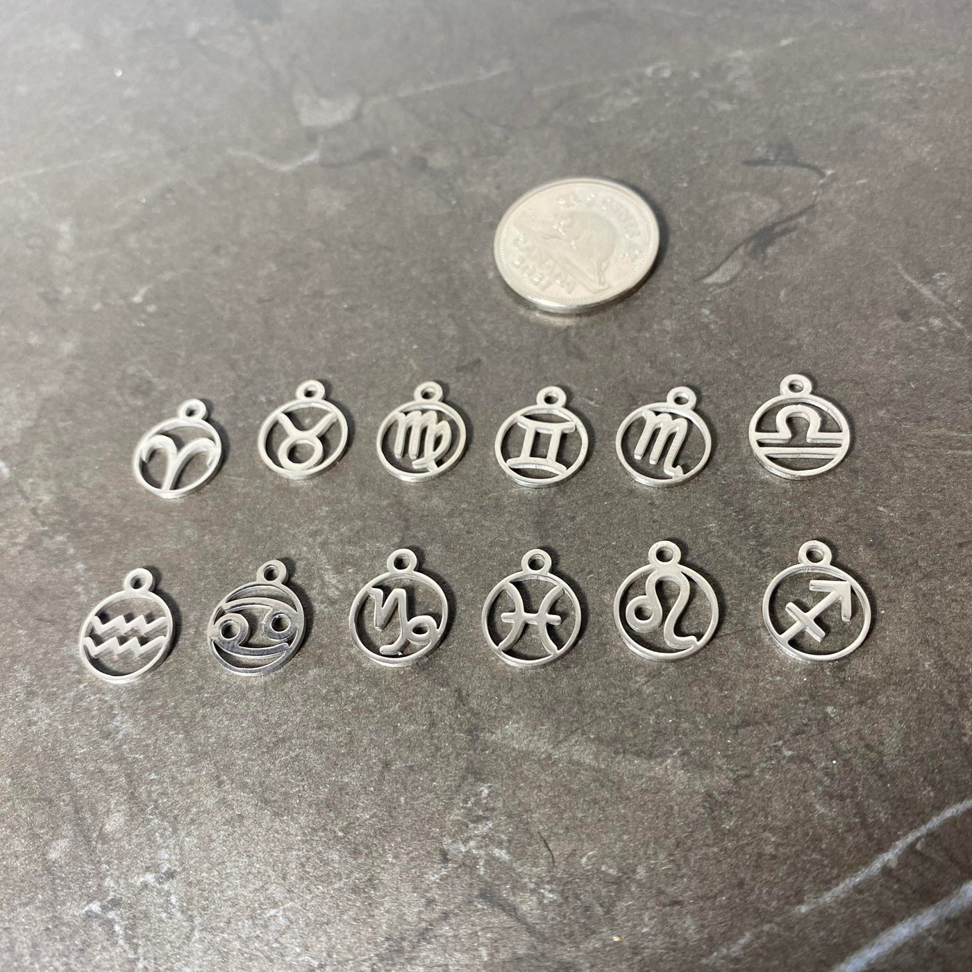 Stainless steel silver zodiac sign charm