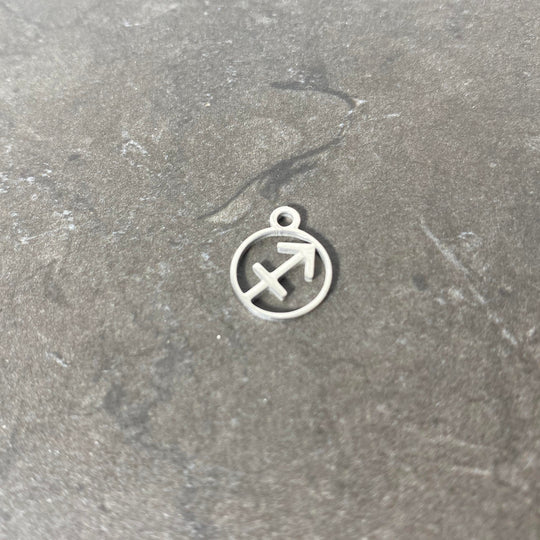 Breloque de signe zodiaque argent en acier inoxydable