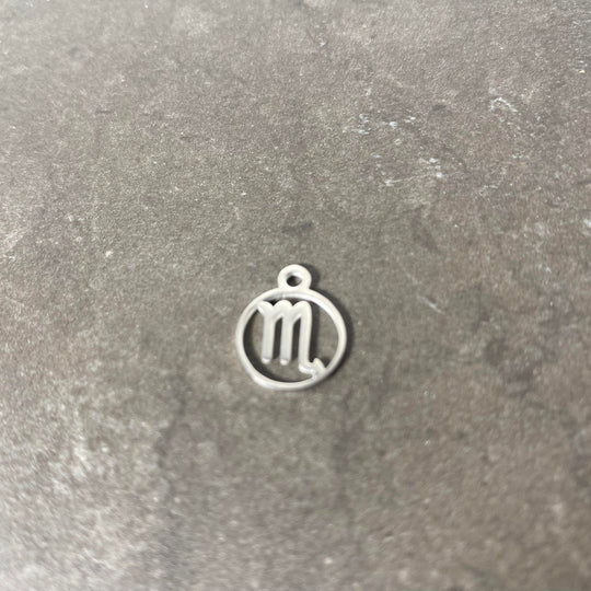 Breloque de signe zodiaque argent en acier inoxydable