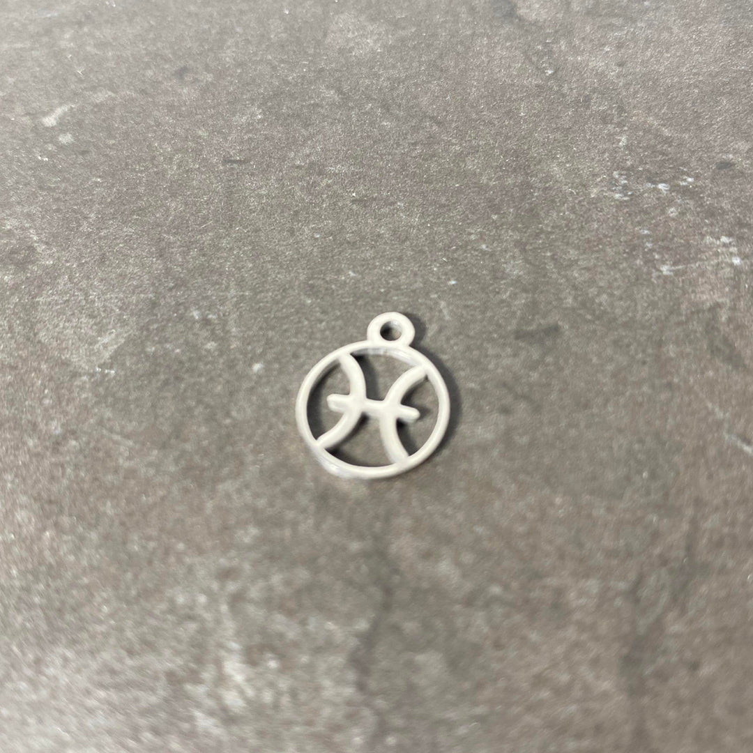 Breloque de signe zodiaque argent en acier inoxydable